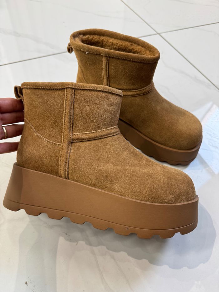 Бойтог шаргал