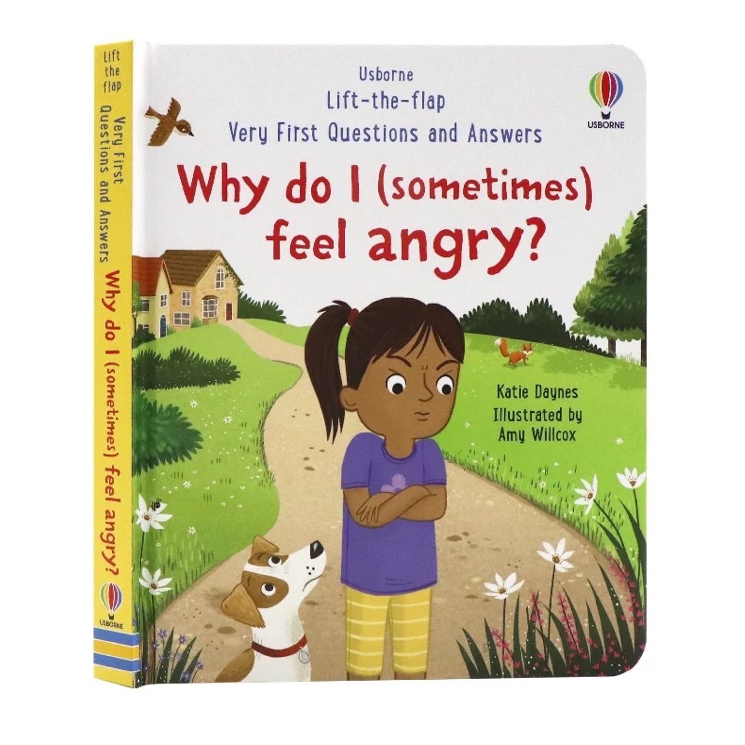Why do I feel (sometimes) ANGRY?