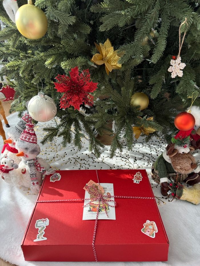 Шинэ жилийн суурь багц