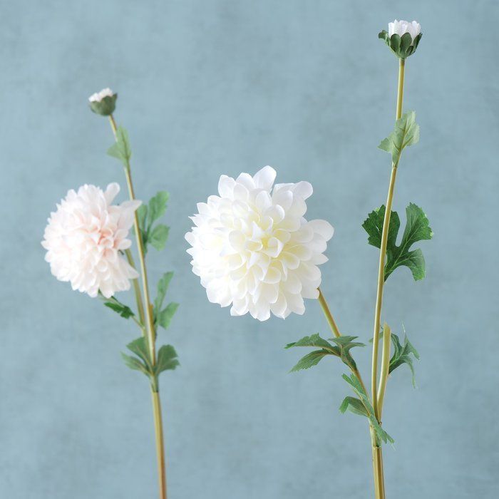 Flower 1sh