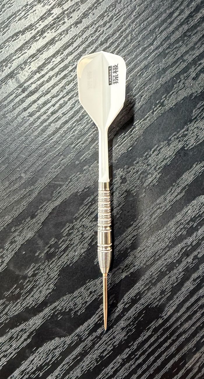 TARGET ENTRY LEVEL - ADULTS 02 24G STEEL TIP 2026