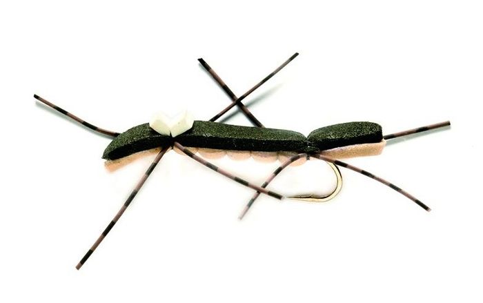 Chernobyl Ant Black and Tan  10730884304733