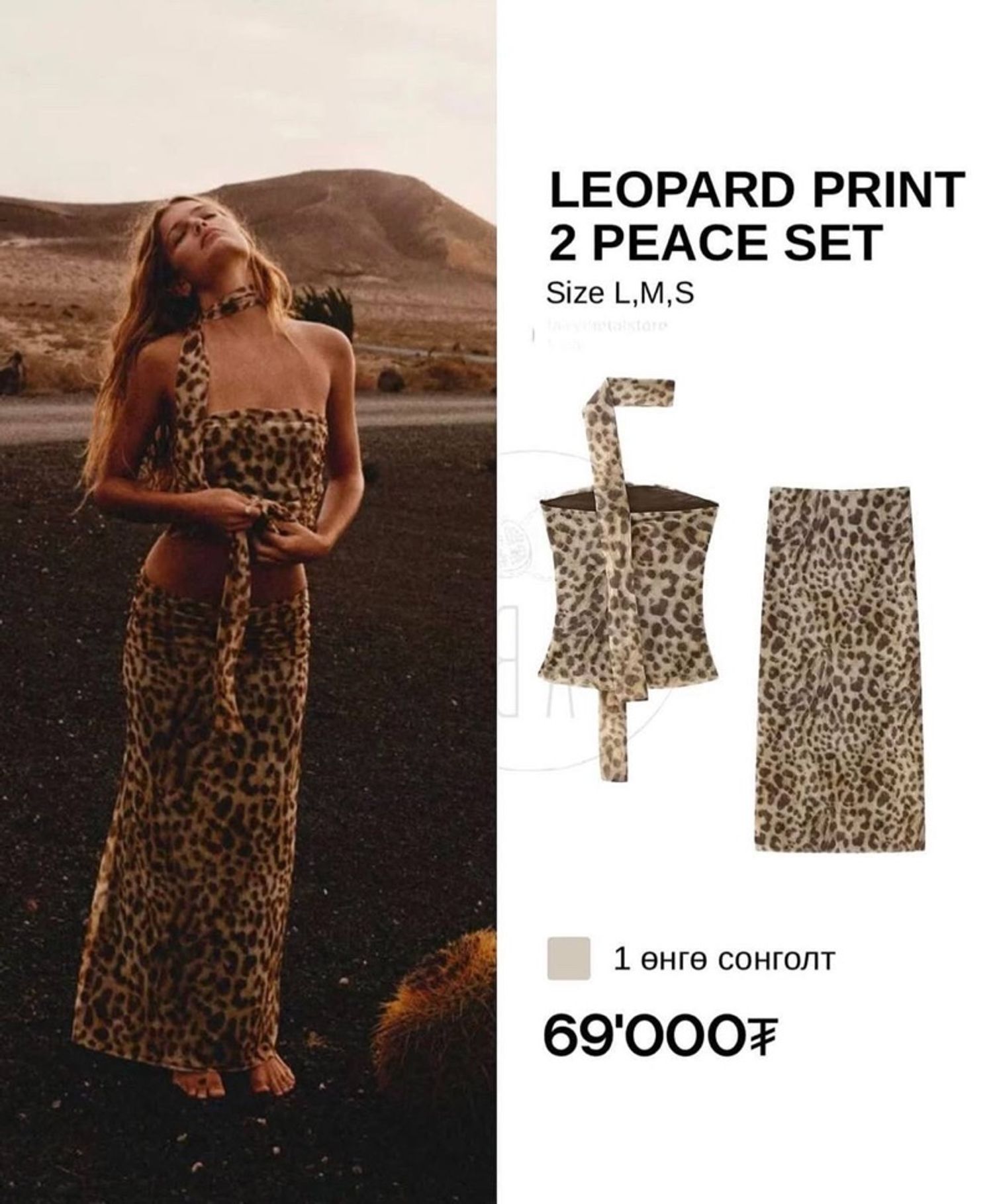 Leopard Print Two Piece Set