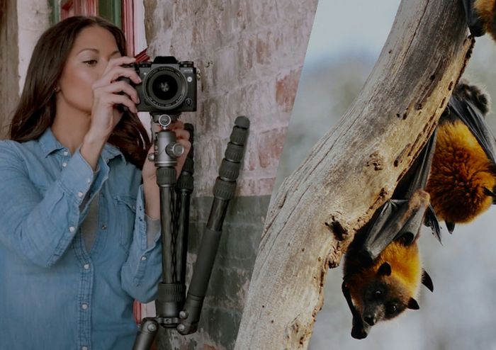 BAT SERIES TRIPOD