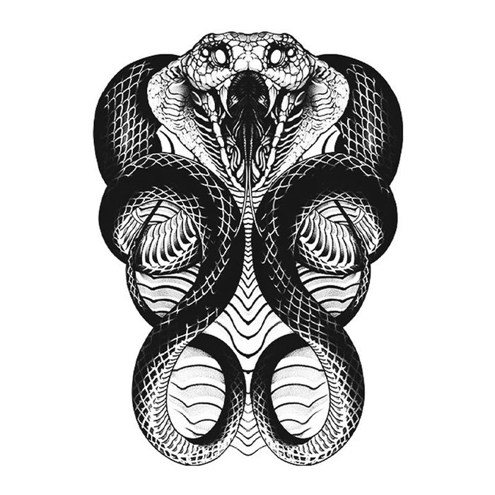 Нуруу бүтэн могой Усан шивээс