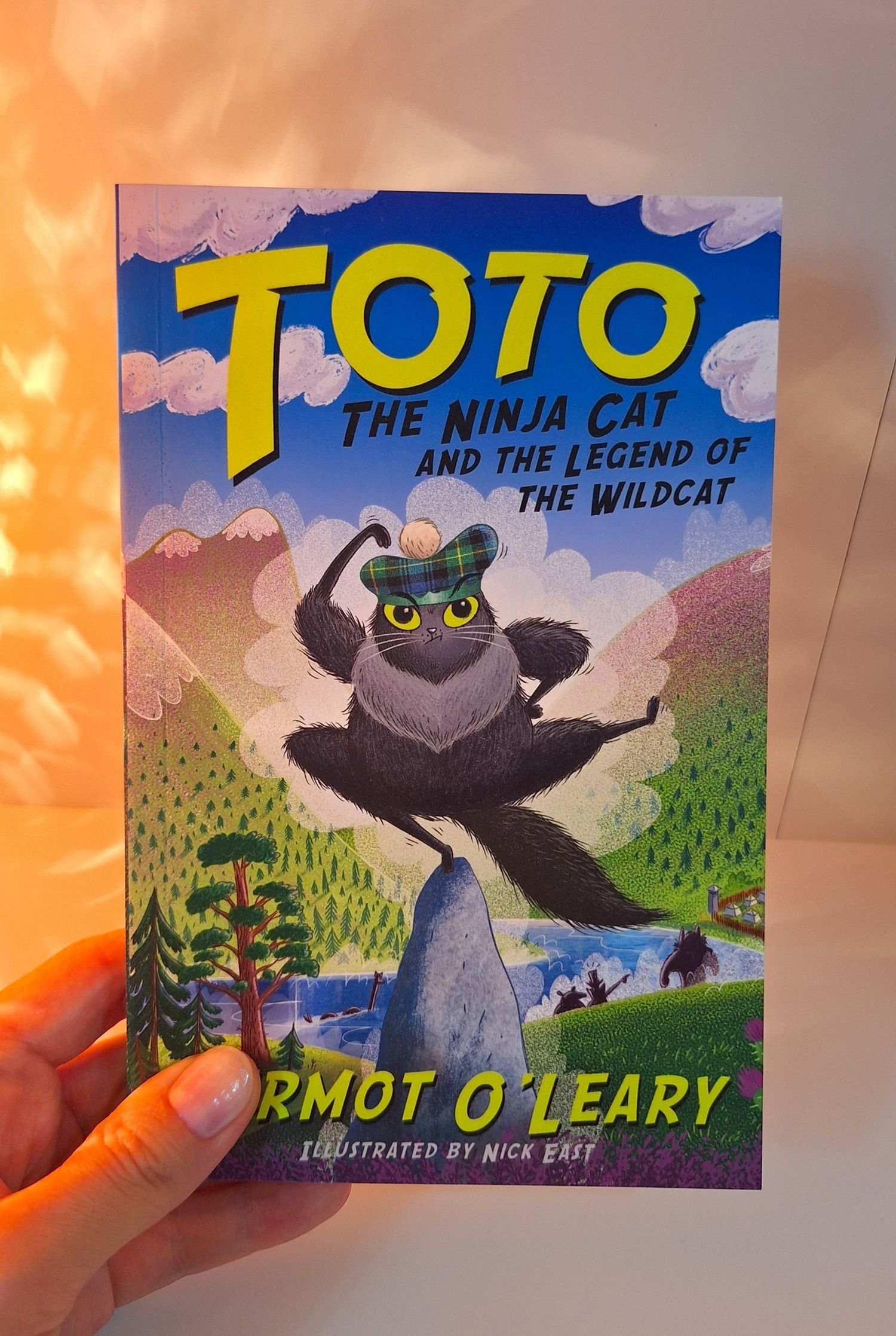 Toto the Ninja Cat 