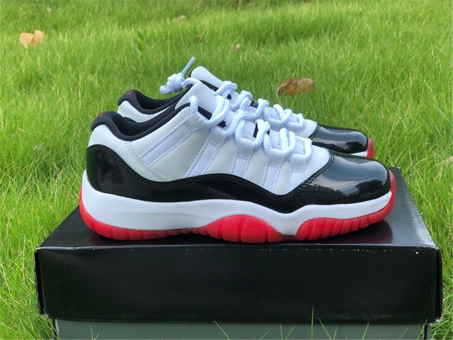 Air Jordan 11 Retro Low Concord Bred 