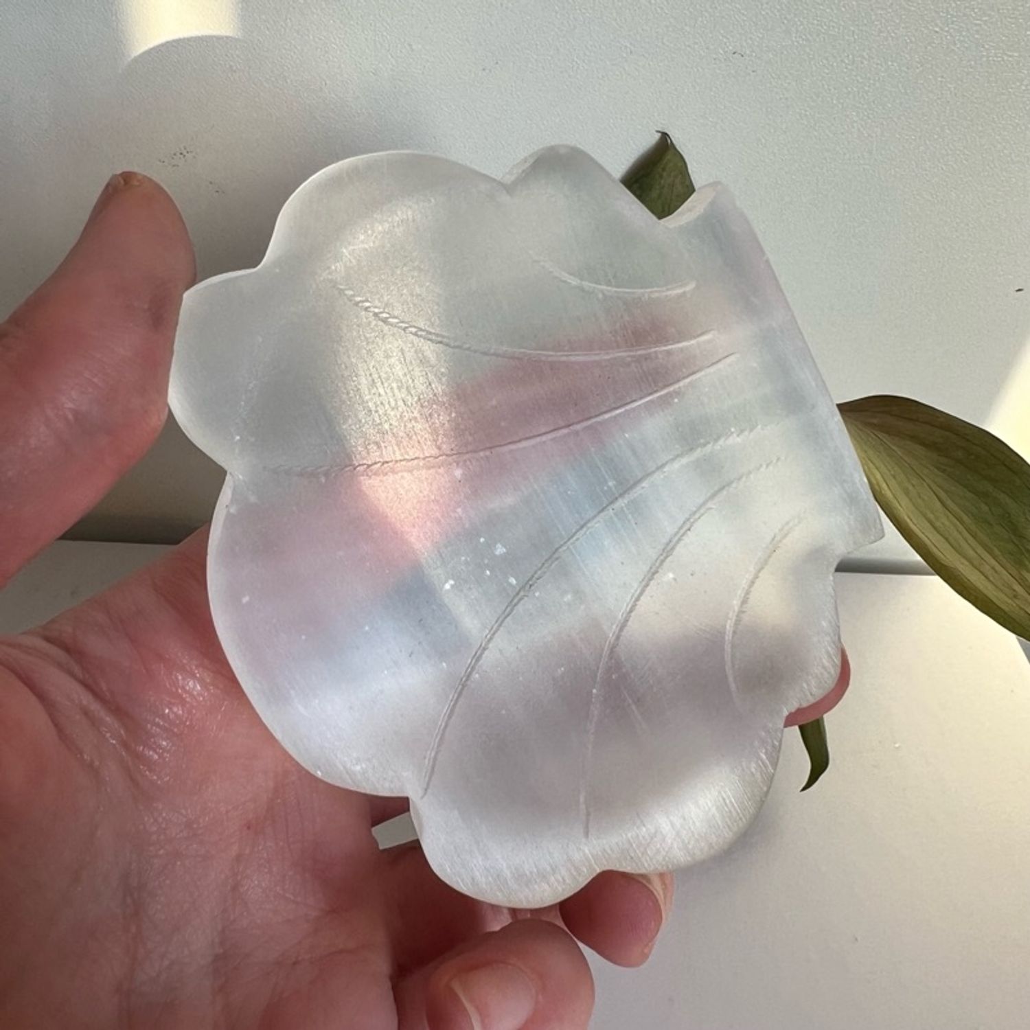 Хясаан селенит