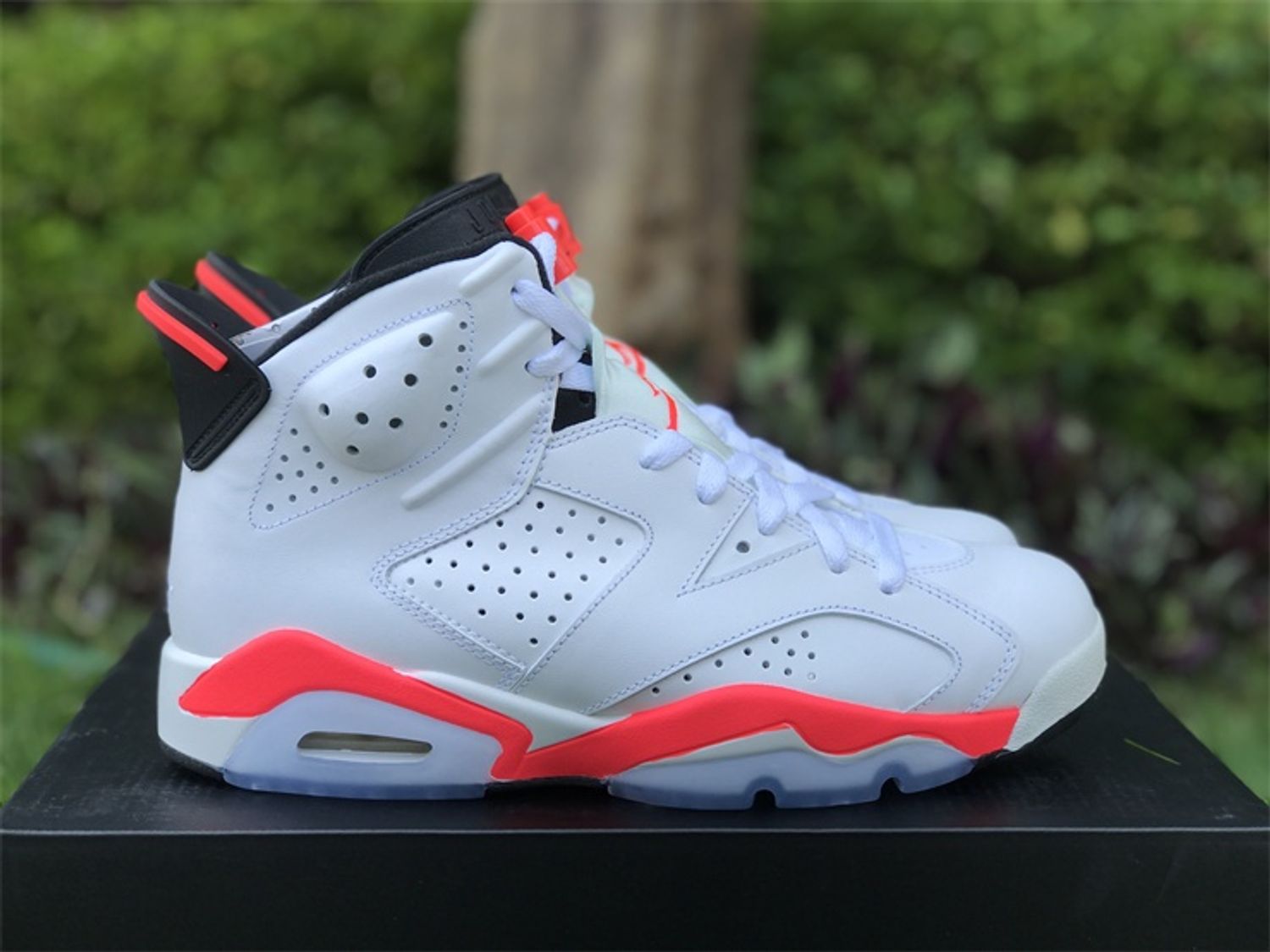Jordan 6 Retro Sample White Infrared