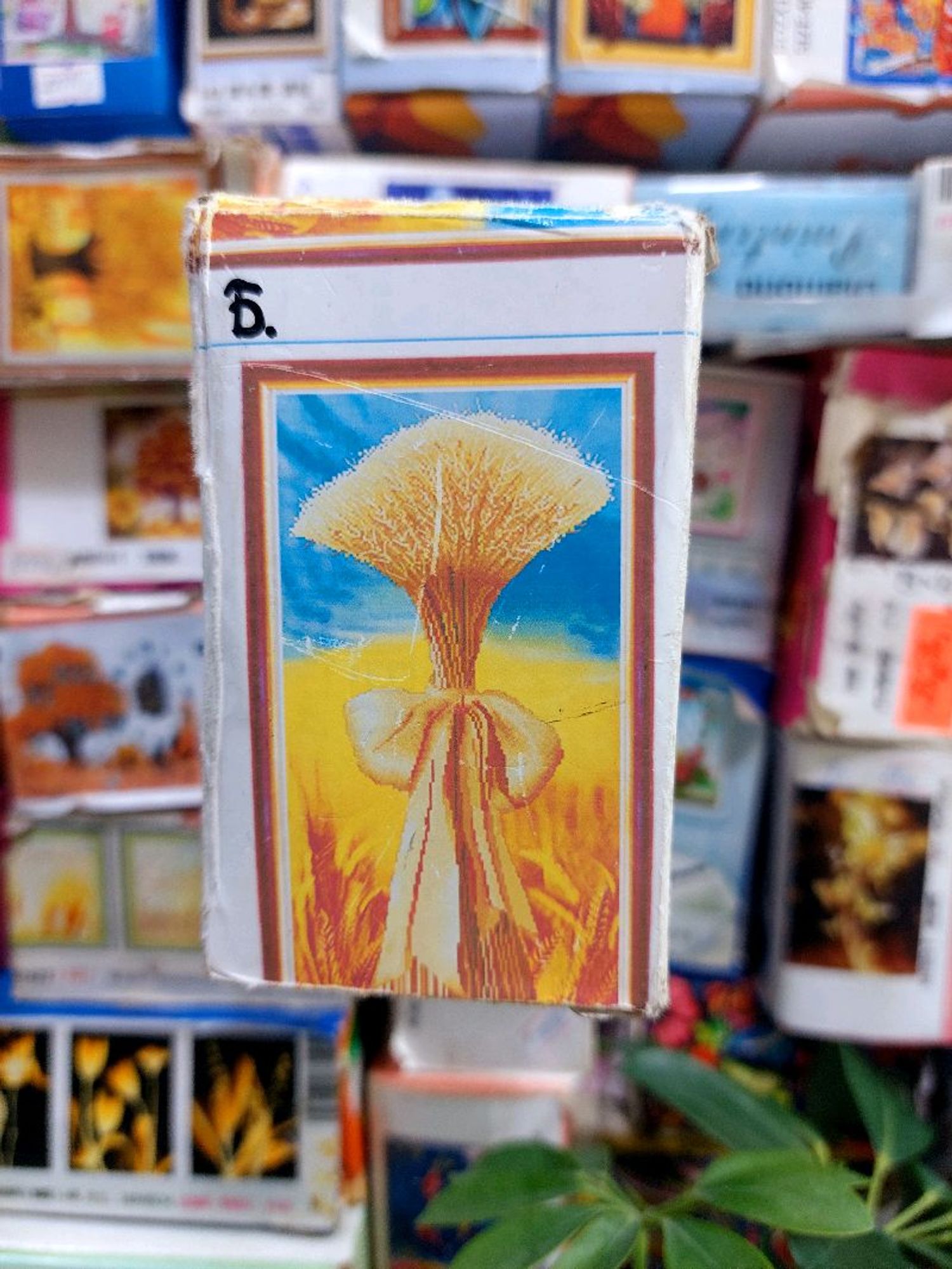 Тариан түрүү наамал 