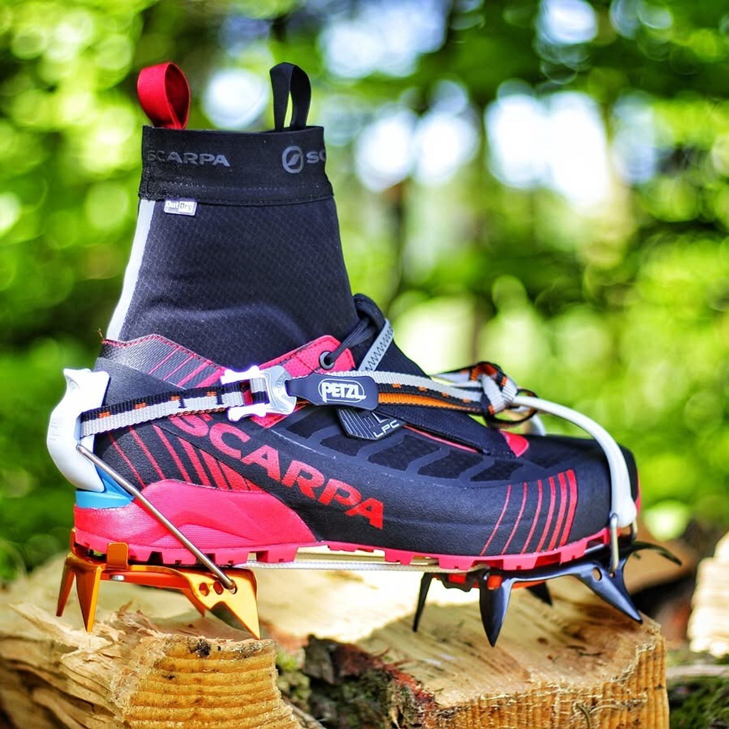 Scarpa | RIBELLE  S HD