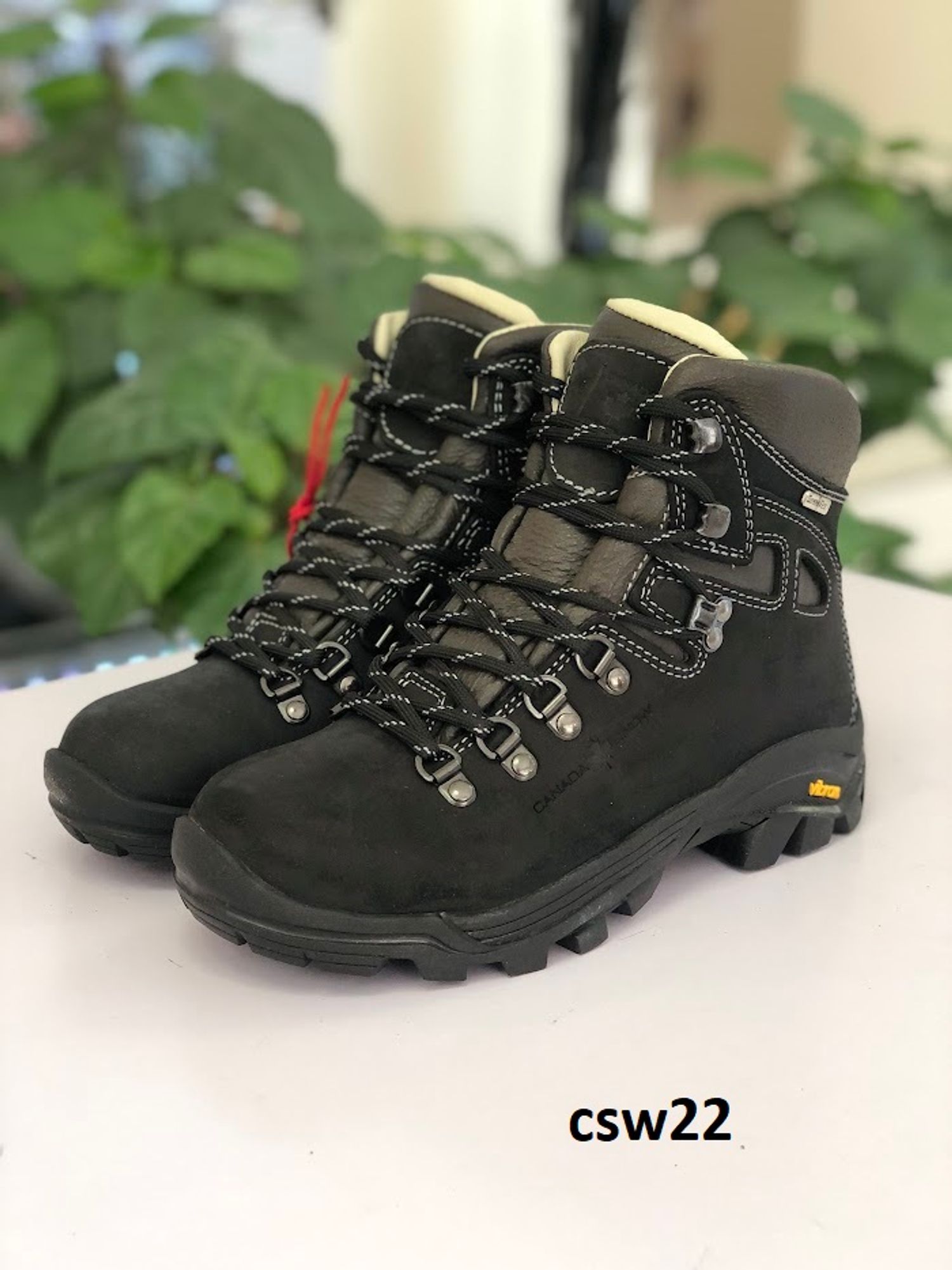 Canada snow  / csw22 /