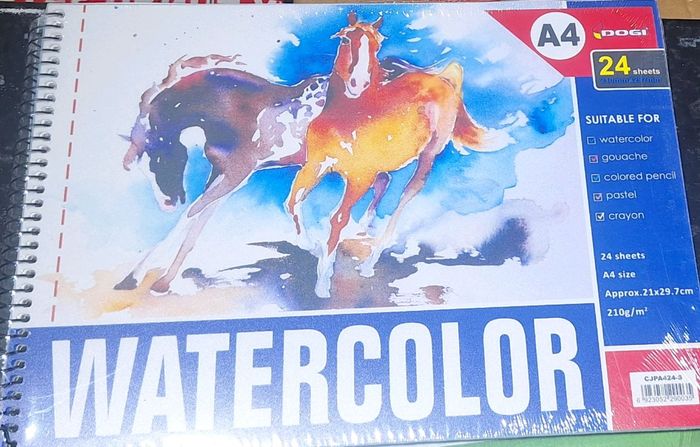 Зургийн дэвтэр A4 24ху CJPA424-S