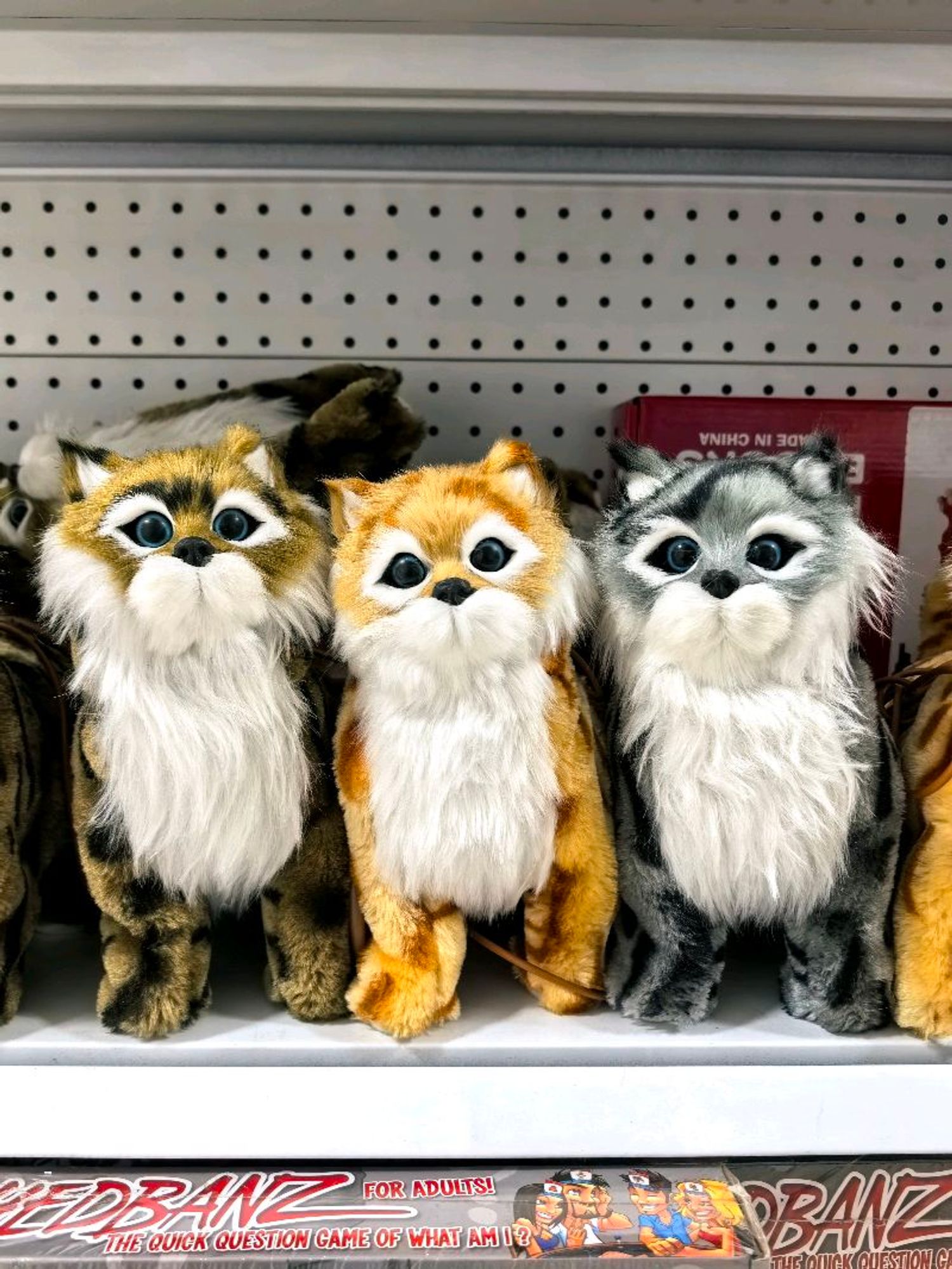 Явдаг, дугардаг муур