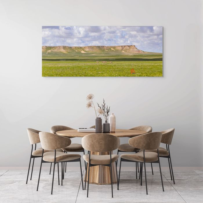 Эргэлийн зоо 