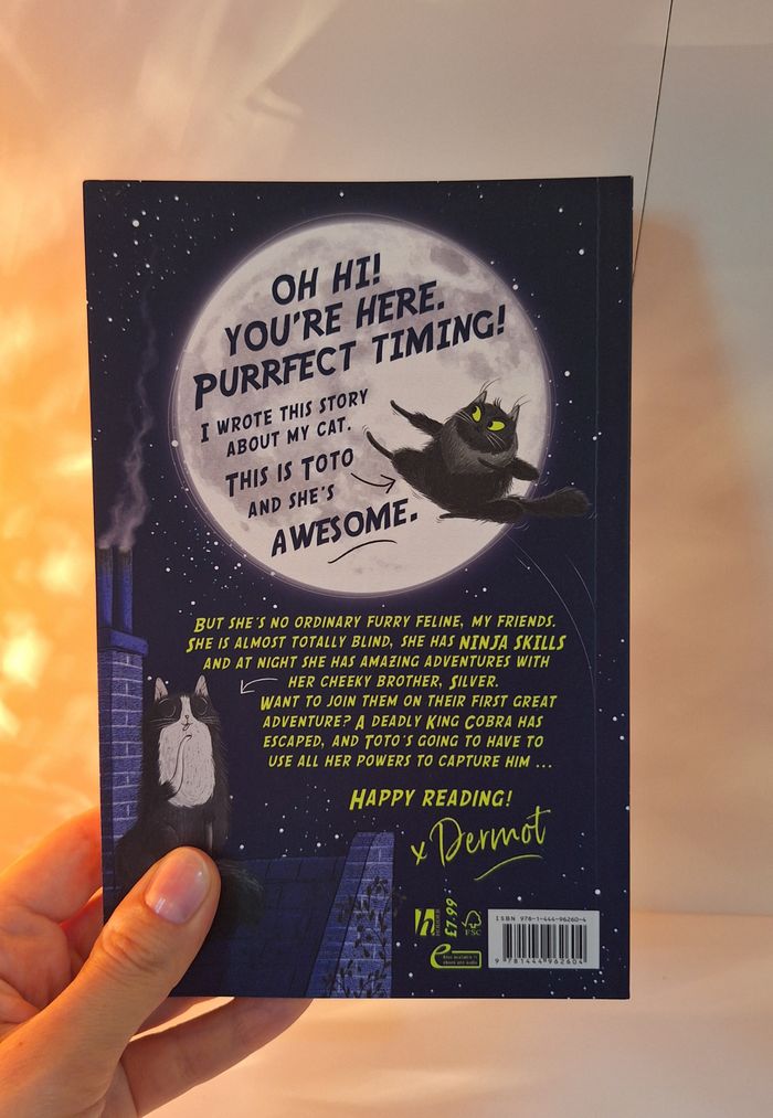Toto the Ninja Cat 