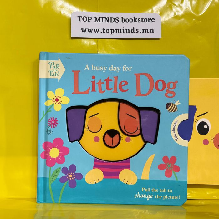 A busy day for Little dog 