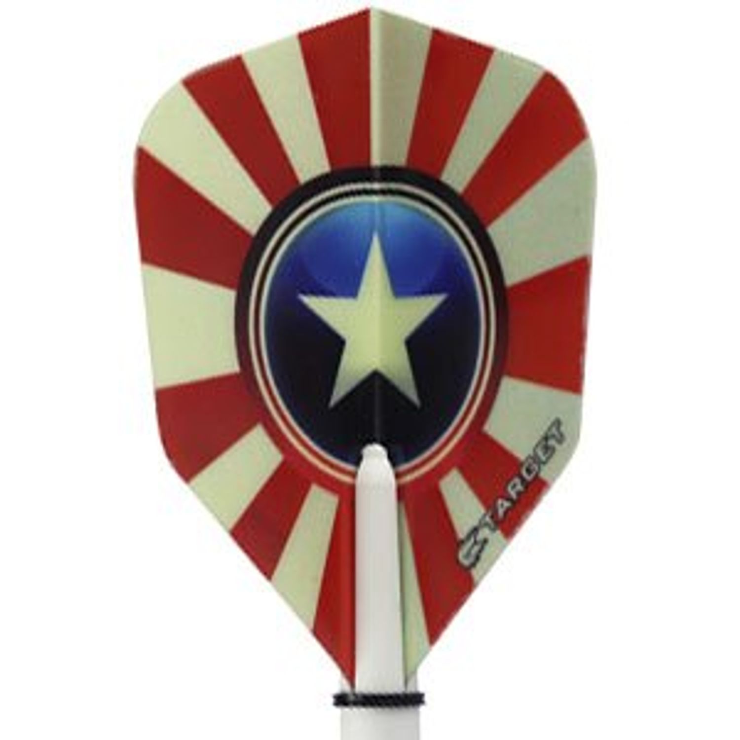 Target Pro 100 USA Star No.6 STD Vision