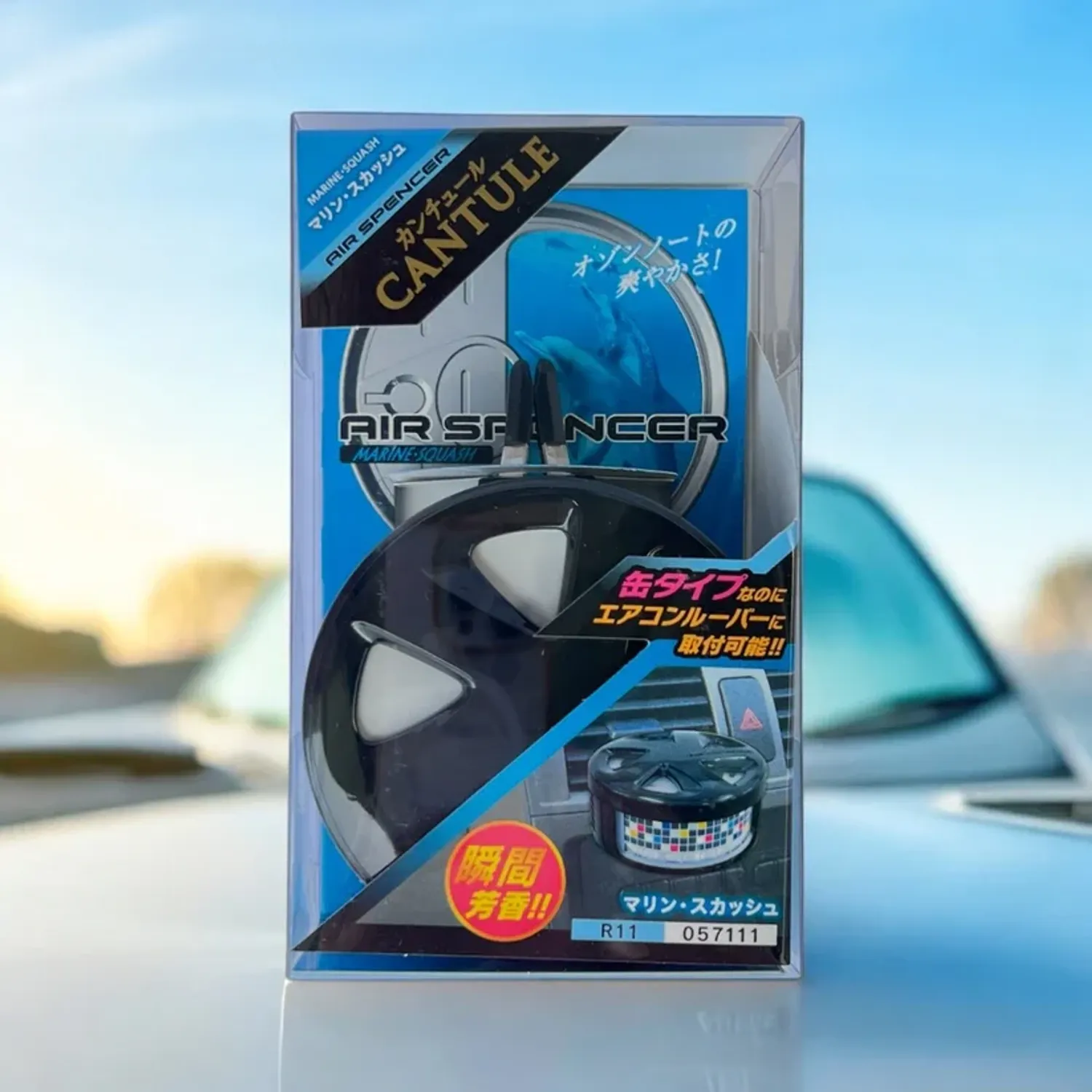 R11 Cantule - Marine Squash