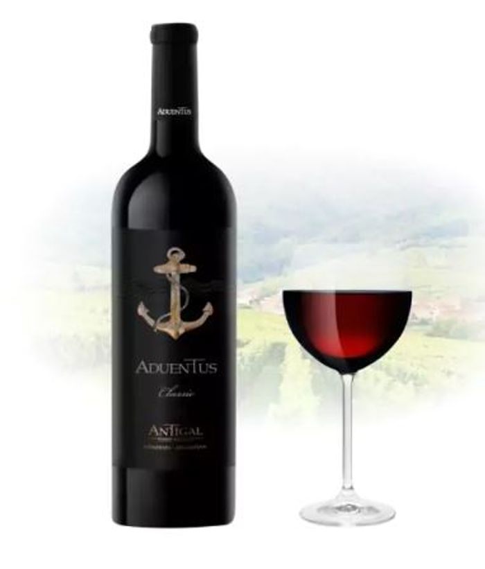 Вино Antigal 750мл 