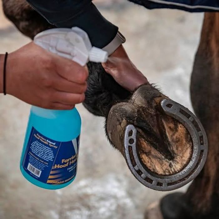 Ул таваг, гахайн цацлага