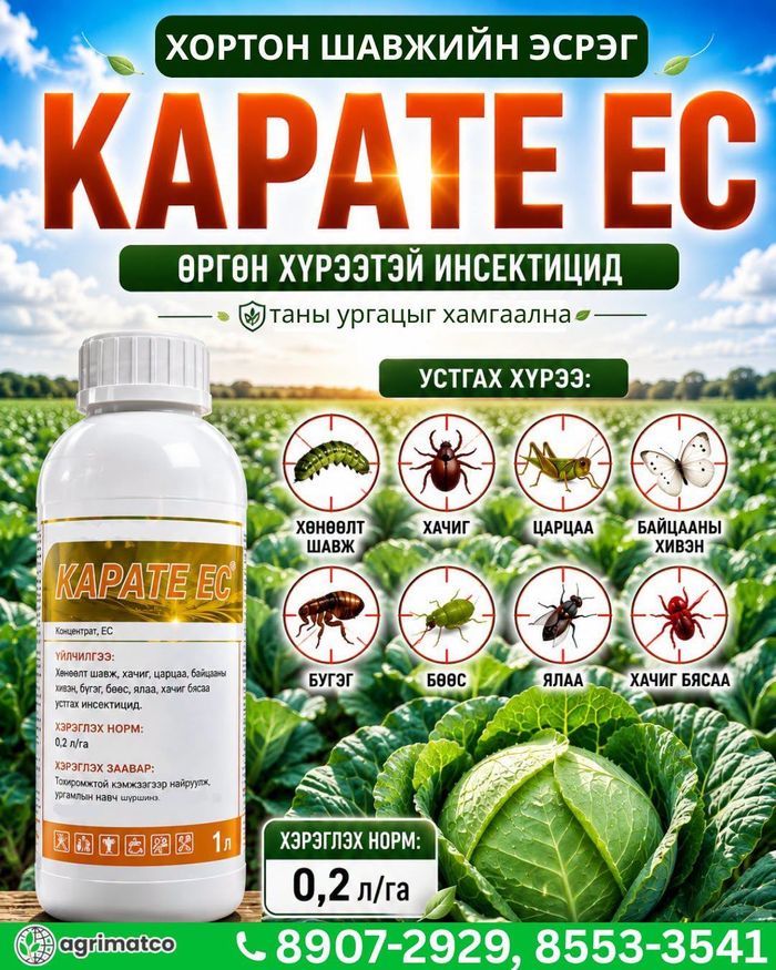Карате ЕС