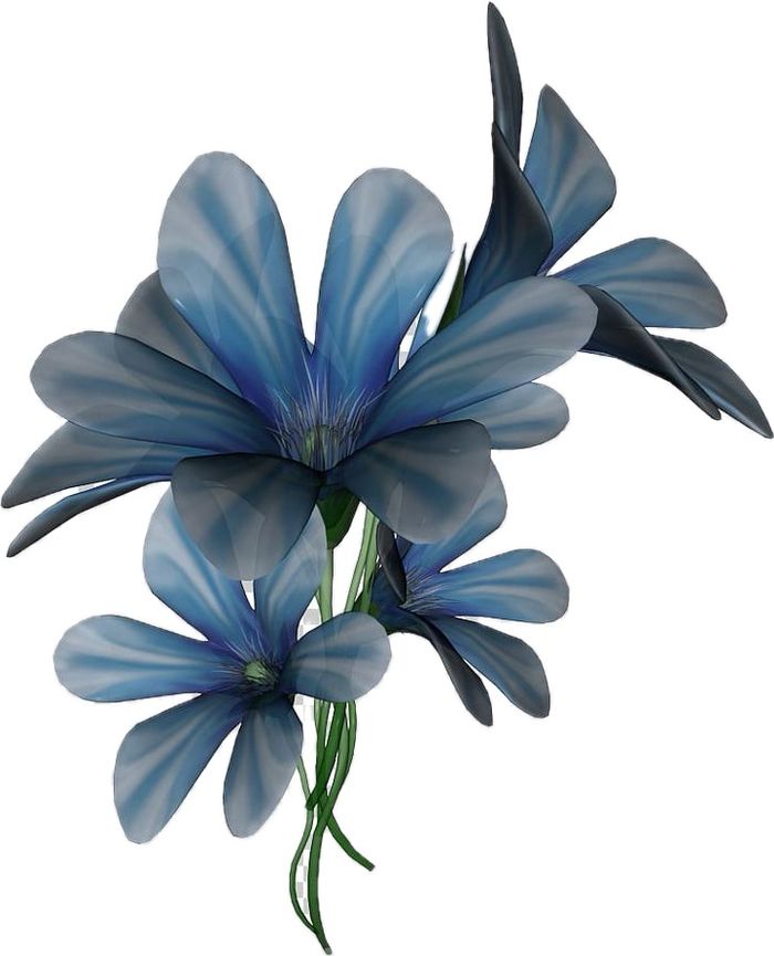 Aquamarine fragrance oil 100ml