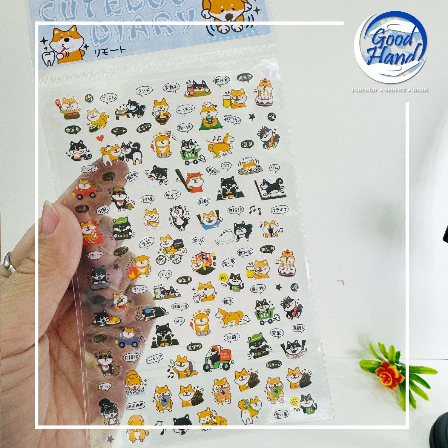 Наадаг зураг -жижиг -10ш