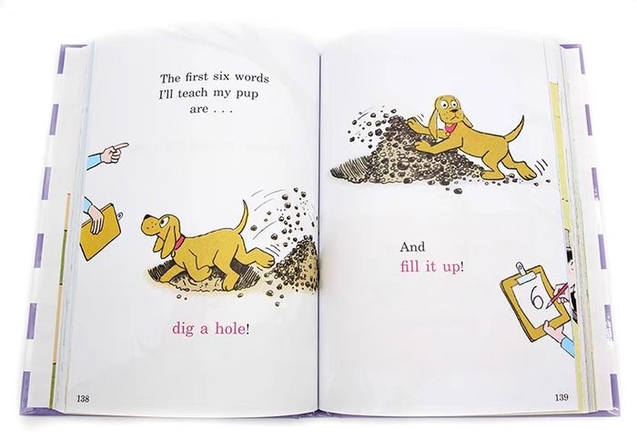 The BIG PURPLE BOOK of beginner books