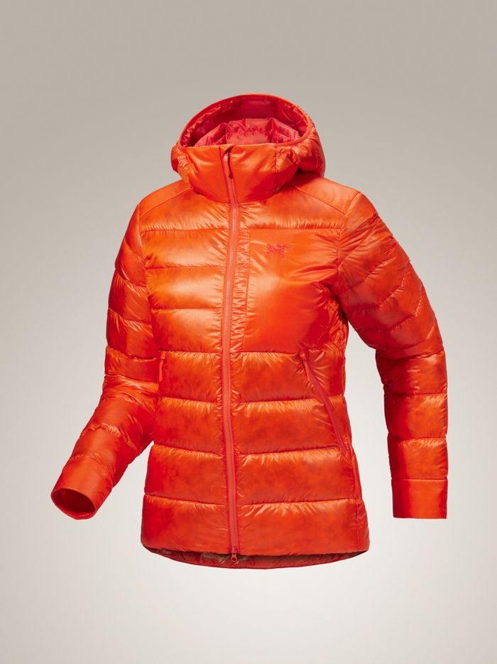 Arc'teryx | Winter | Cerium SV Hoody | Insulated | Women's 