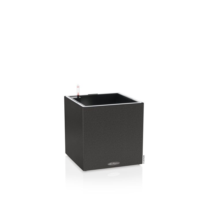 Canto LED Low