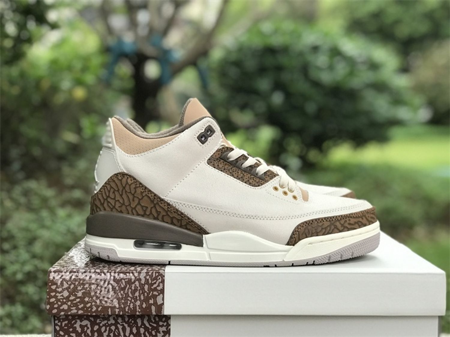 Jordan 3 Retro Palomino