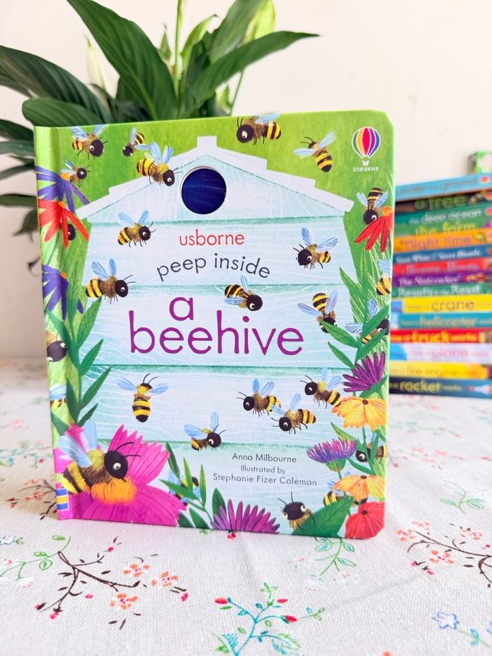 Peep inside A beehive