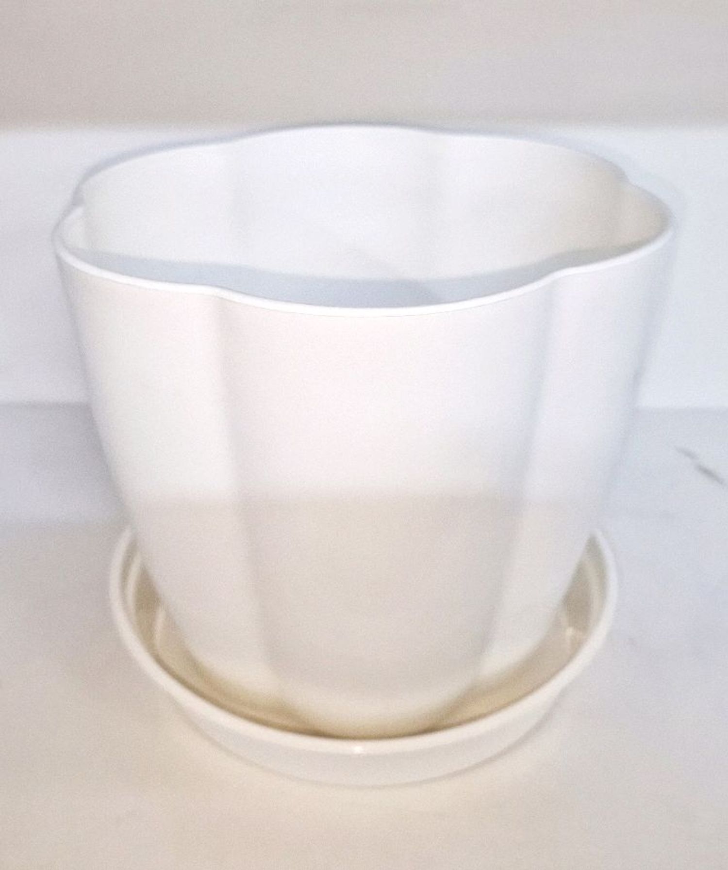 Цэугийн сав (жижиг)