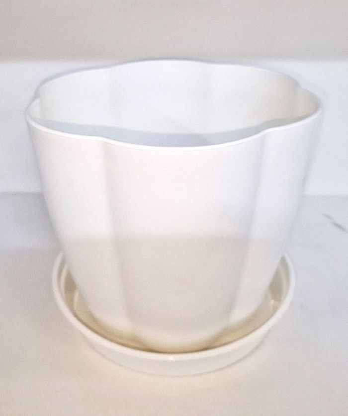 Цэугийн сав (жижиг)