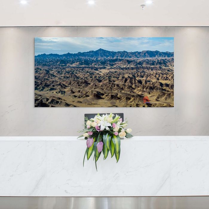 Сэгс цагаан богд 