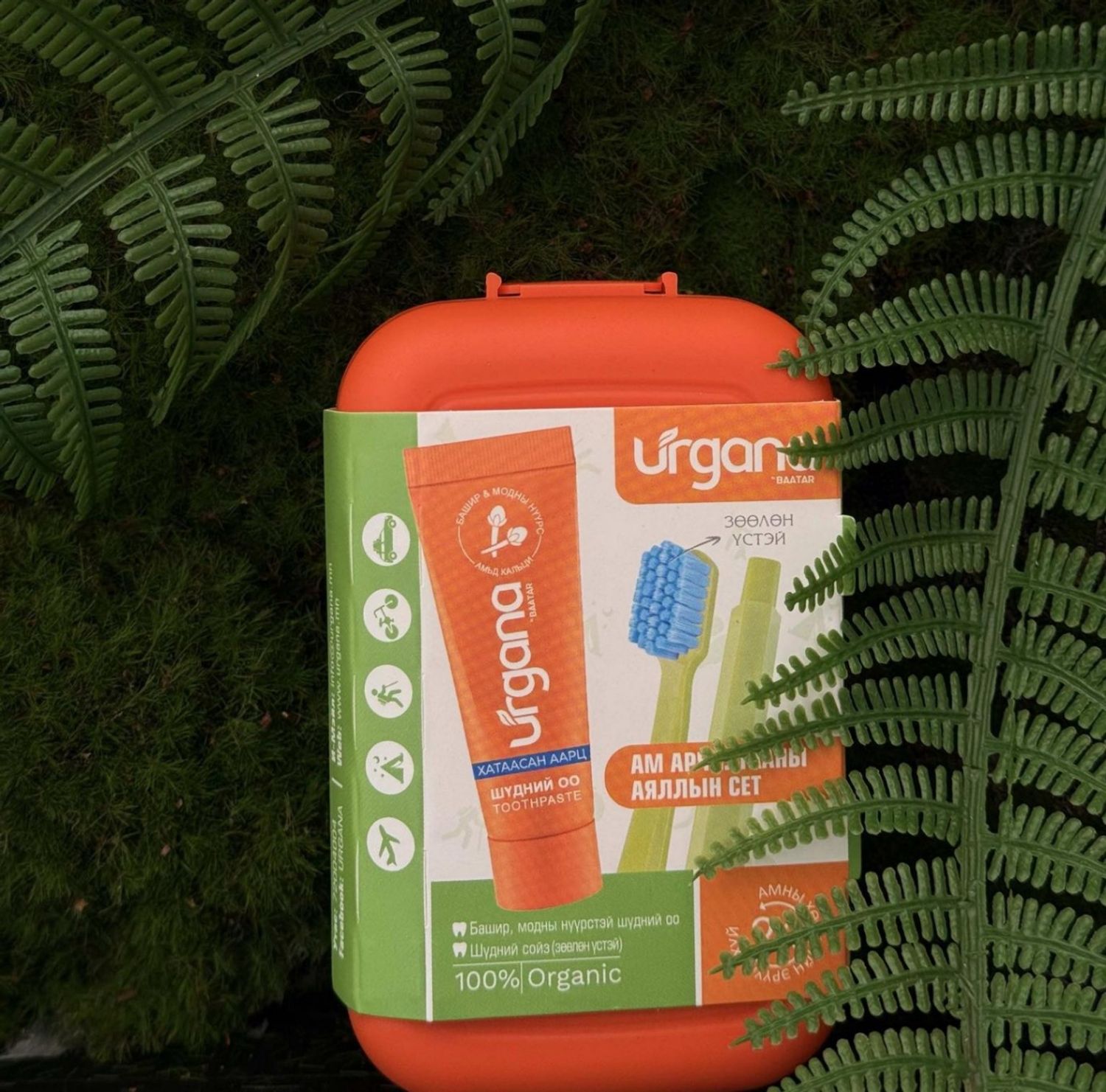 Ам арчилгааны аялалын сэт / Башир цэцэгтэй /