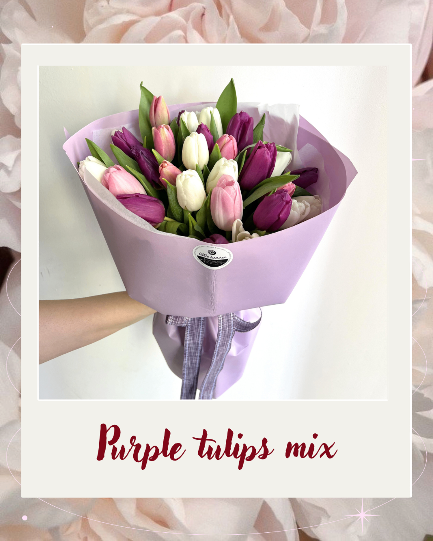 https://cdn.zochil.shop/5cf06bf2-596b-4d91-baf3-d4728004a260_t1500.png