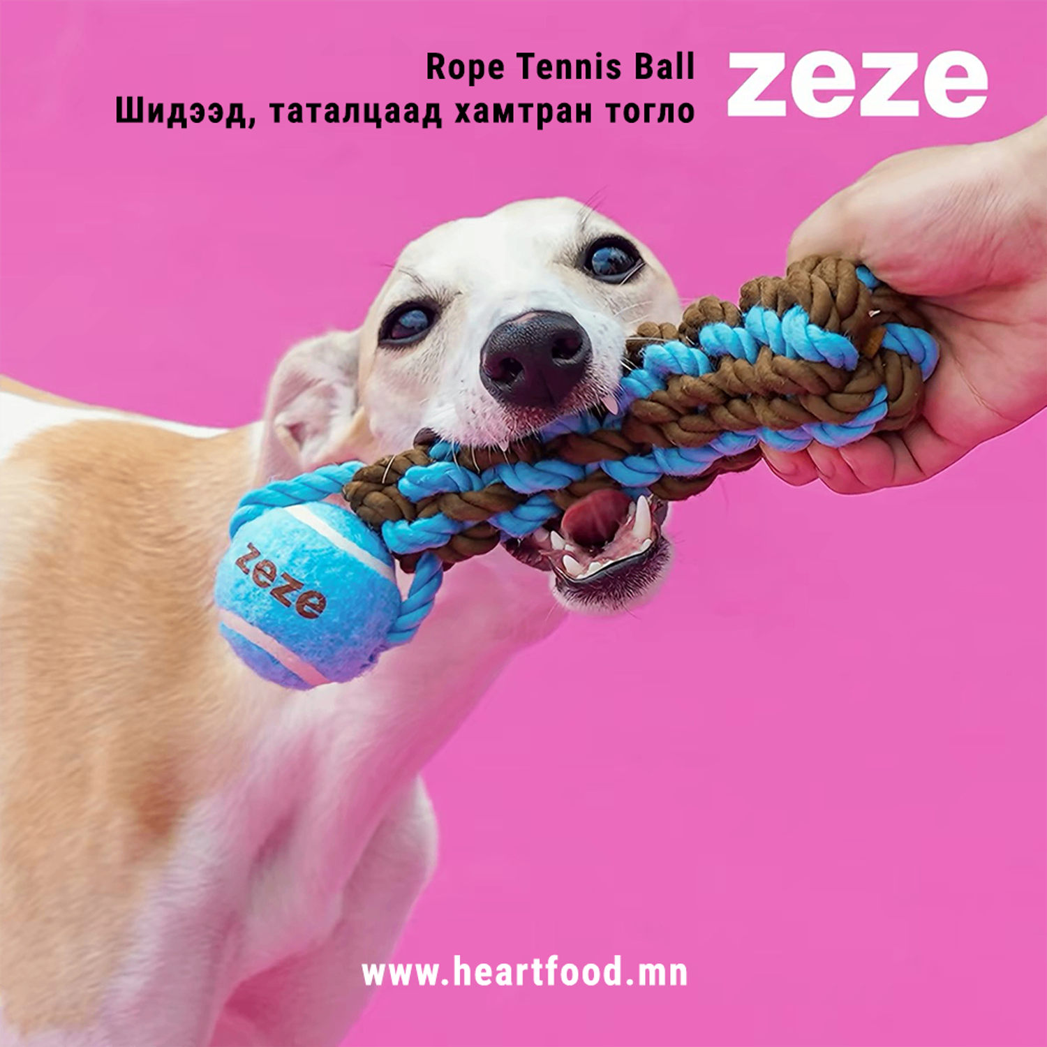 Rope Tennis Ball Toy