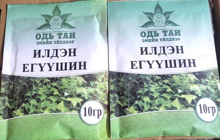 Илдэн егүүшин