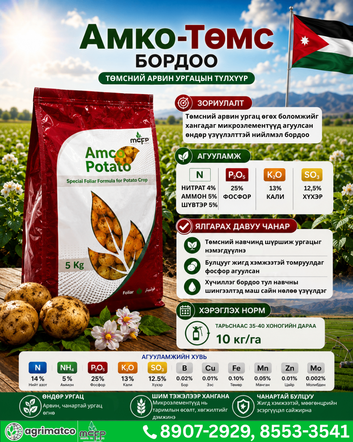 АМКО Төмс 