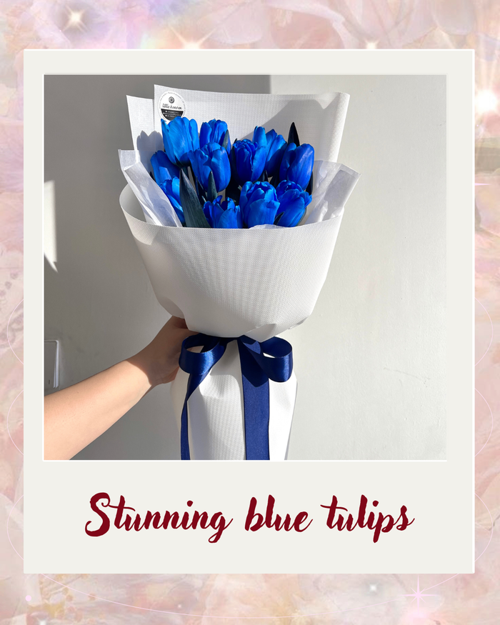 Stunning blue tulips