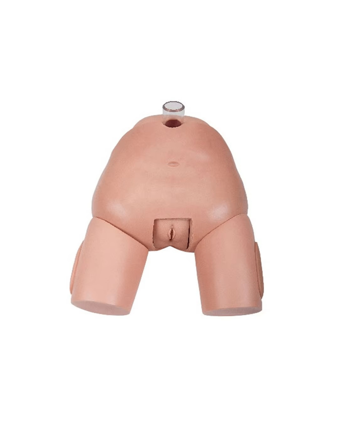 Эмэгтэй давсагт хатгалт хийх загвар