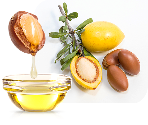 Моррокан тос гэж юу вэ?