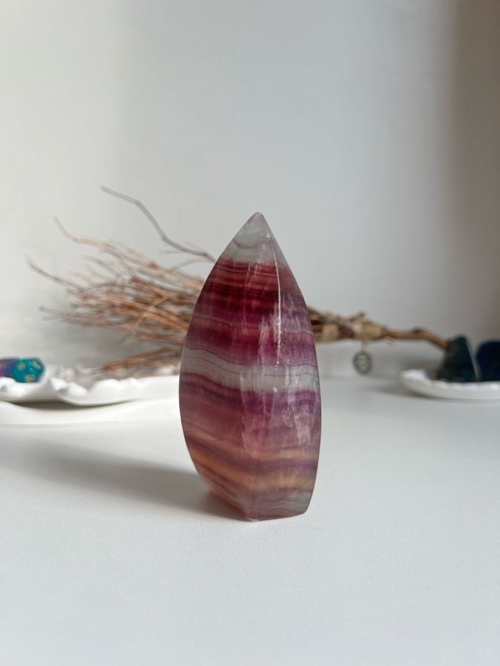 Солонгон жонш дөл