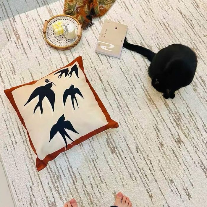 Дулаан өнгөтэй хивсэнцэр