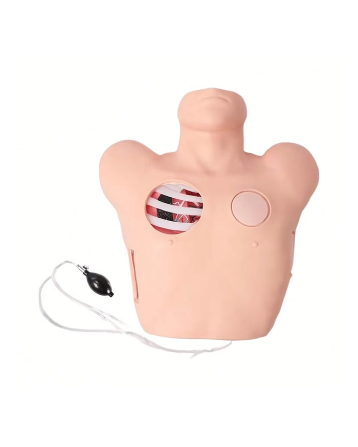 Цээжний хатгалт ба гуурс тавих загвар