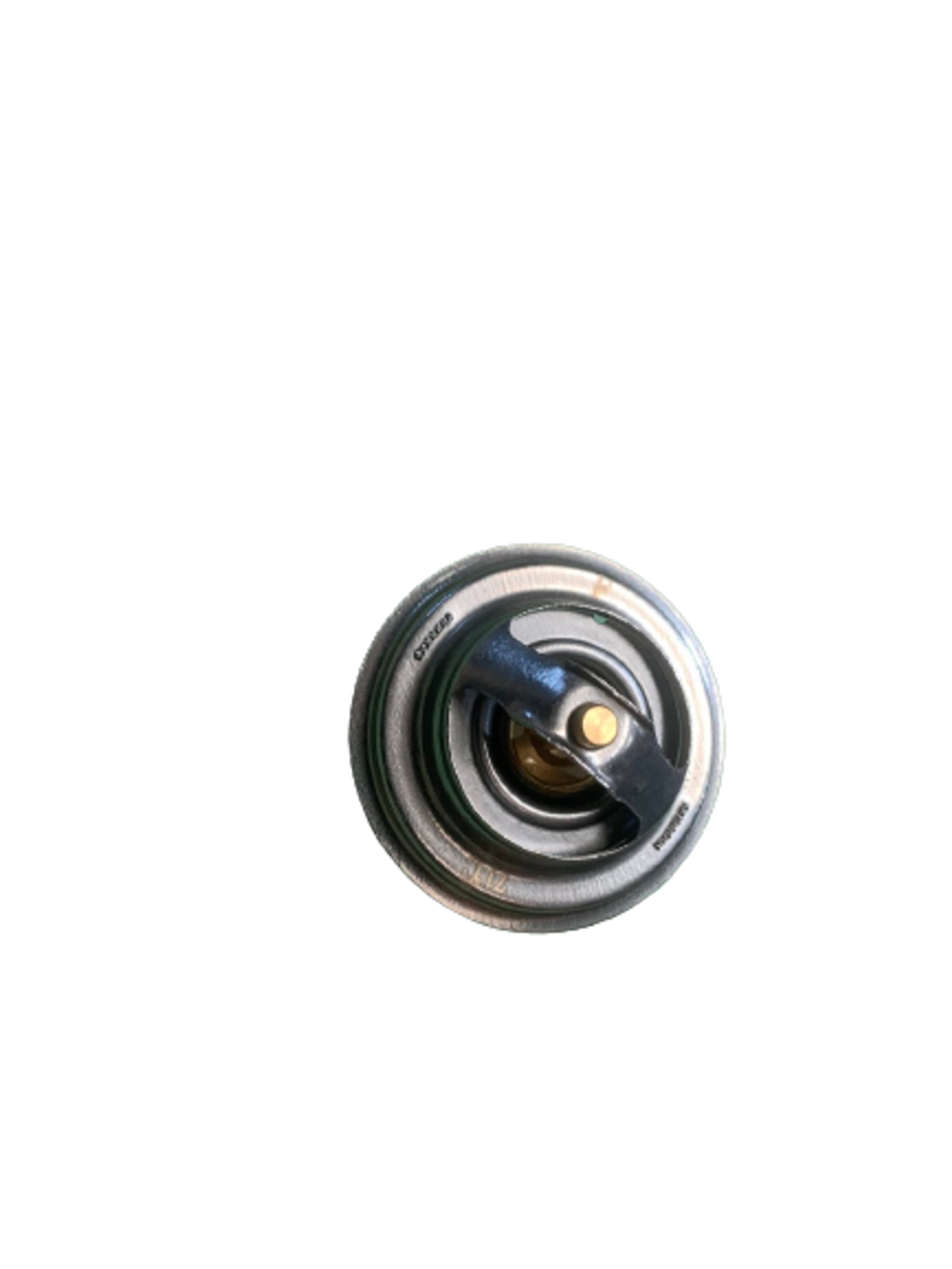 Thermostat Assembly, Термостат