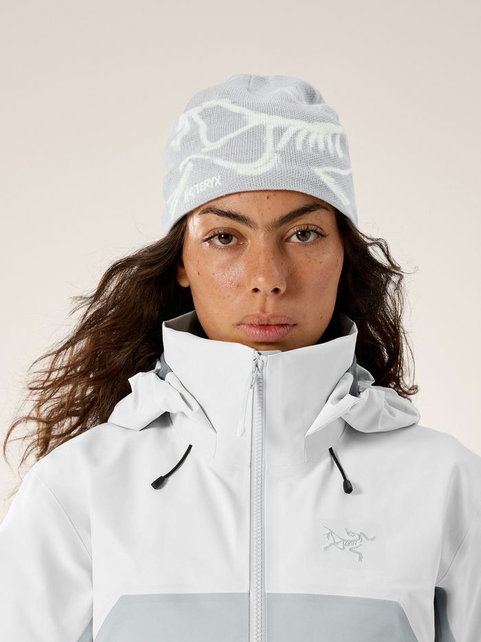 Arc'teryx | Bird Head Toque  