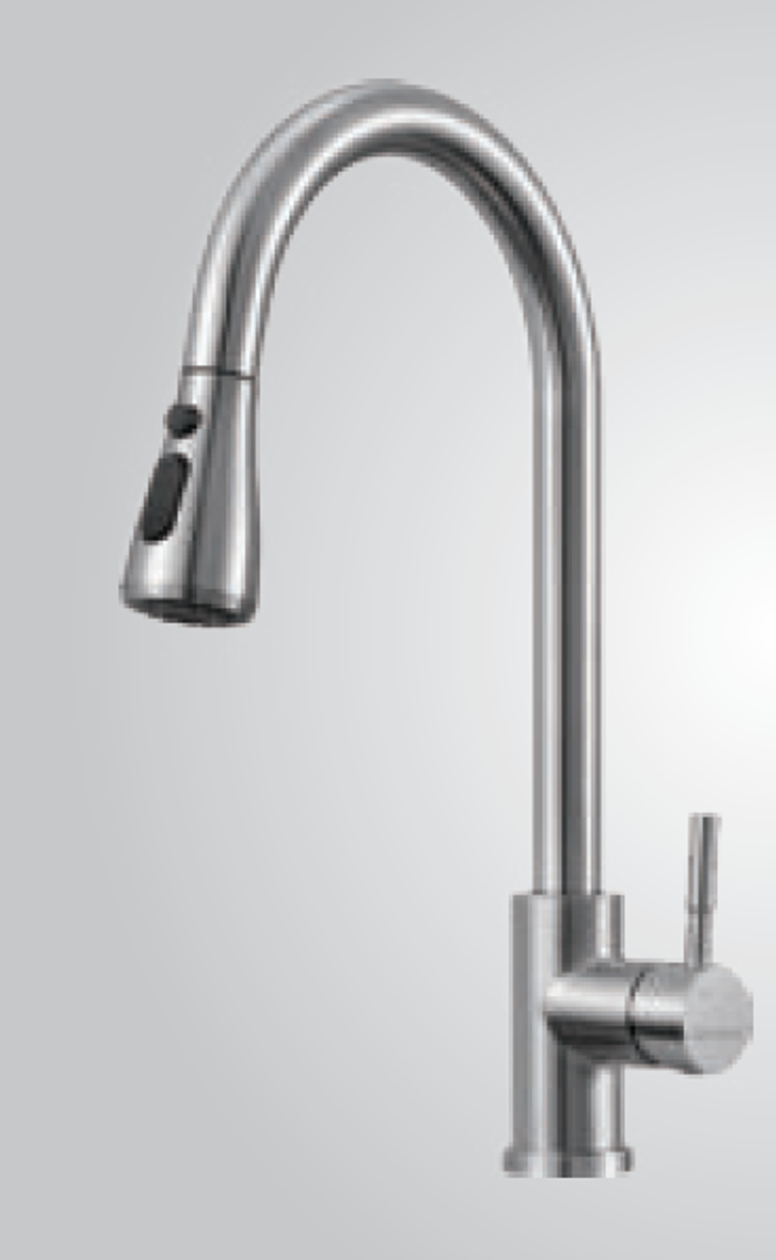 Холигч 304 stainless steel Pull out faucet 